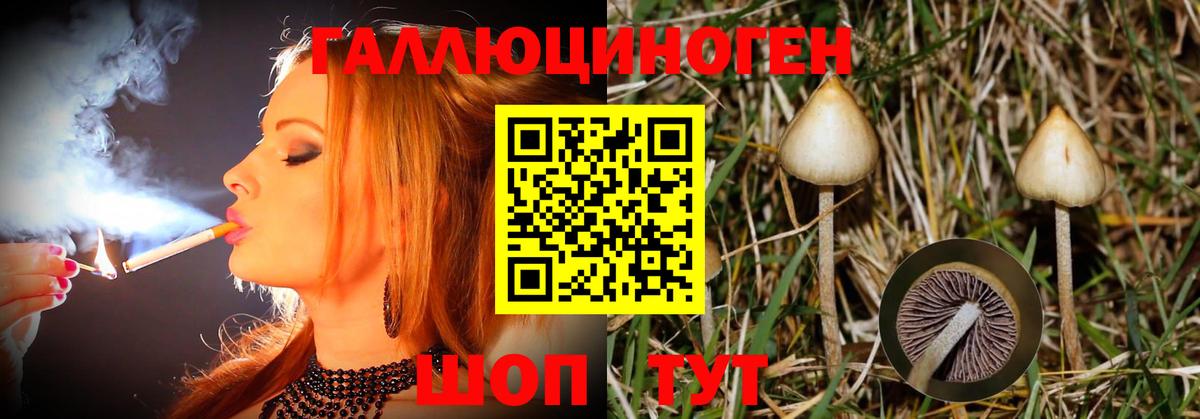 Псилоцибиновые грибы Magic Shrooms  Вход с VPN  Воронеж  Псилоцибиновые грибы ЛСД 